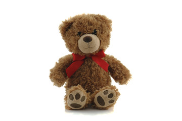 teddy bear isolated on white background