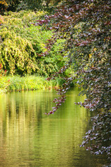 Obraz premium Sanssouci park