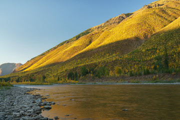 Fall in Montana