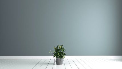 empty room with plant. Living room interior,3D rendering