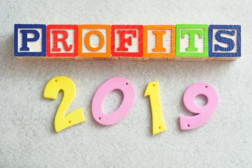 2019 Profits
