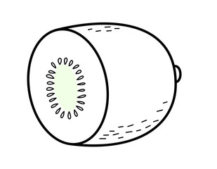 キウイフルーツ(線画)