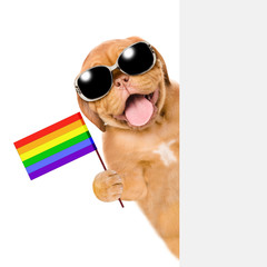 Happy puppy with sunglasses behind white banner with rainbow color flag symbolizing gay rights. Isolated on white background