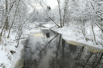 Winter. Winter river in the forest