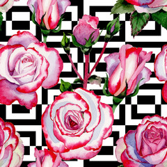 Wildflower hybrid rose flower pattern in a watercolor style. Full name of the plant: hybrid rose, hulthemia, rosa. Aquarelle wild flower for background, texture, wrapper pattern, frame or border.