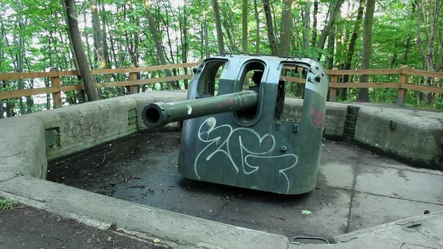 Rotating Artillery Cannon in Forest