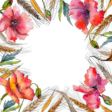 Wildflower spica flower frame in a watercolor style. Full name of the plant: ear, spike, spica. Aquarelle wild flower for background, texture, wrapper pattern, frame or border.