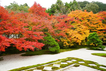京都南禅寺天授庵の紅葉