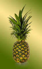 Fototapety  dojrzały organiczny ananas