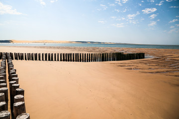 dune du pilat  vue de la pointe du cap ferret (plage mirador)