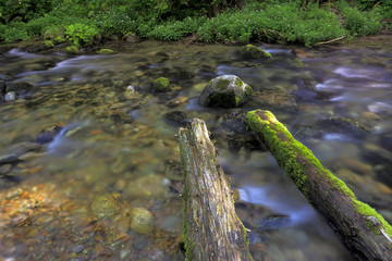 Poland, Tatra Mountains, Zakopane - Koscieliski Creek in Koscieliska Valley forest