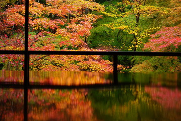 京都瑠璃光院の紅葉と床もみじ