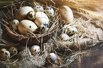 Goose and quail eggs against a dark background. Easter still life.