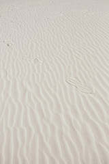 Footsteps in the Sand