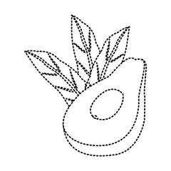 avocado half cut icon vector illustration graphic design