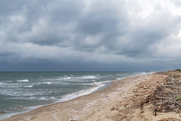 The sea in the winter season, San Rossore, Pisa, Tuscany, Italy