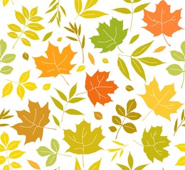 Autumn leaves seamless background, white, vector. Yellow, green and orange leaves on a white field. Vector color pattern. Nature, autumn.  