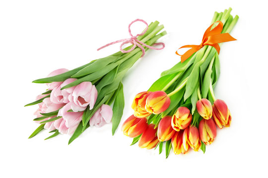 Zwei Tulpenstr&auml;u&szlig;e auf wei&szlig;