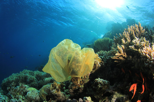 Plastic carrier bag pollution on underwater ocean coral reef