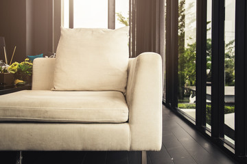 contemporary interior of Living room with part of sofa in sunny day and  interior background concept