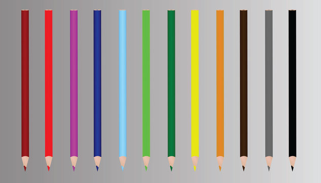 Colorful pencils. vector illustration