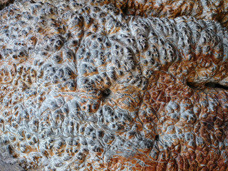 Grey ancient bubbly stone, relief structure. Brown lava rock background texture. Clinker wall or ground rusty pattern. Uneven surface with pimples.