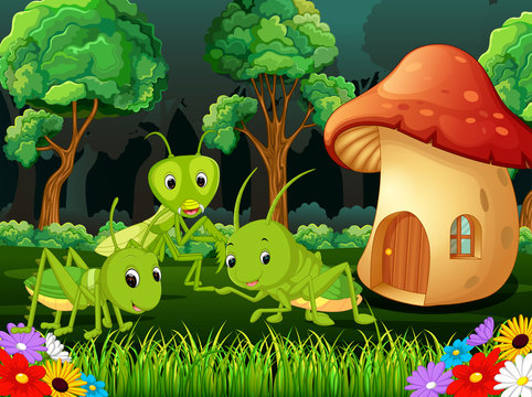 many grasshopper and a mushroom house in forest
