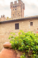 Fototapeta na wymiar Traditional geranium flowers in a meieval village in Tuscany - 2