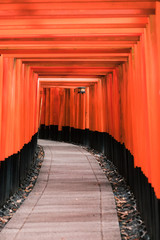 A pathway of thousands of torii gate,