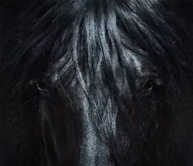 Gordijnen Andalusisch zwart paard met lange manen. Portret close-up. © Kseniya Abramova
