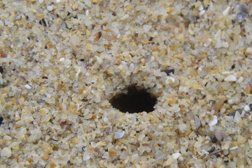 texture of beach sand