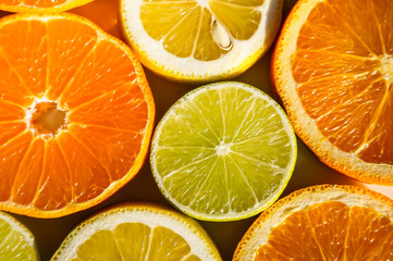 slices of oranges, lemons, limes and mandarins
