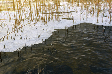 bulrush lake keeps ice above the water