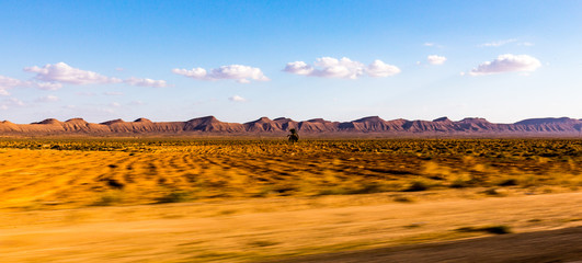 Bewegte Steppe