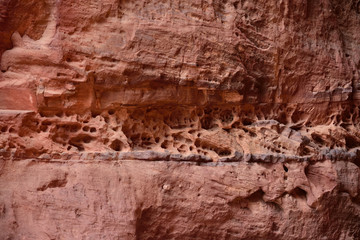 Winderosionslöcher in Sedimentband einer roten Sandsteinwand