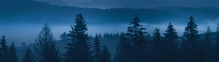 Wide panorama. Night mysterious landscape in cold tones - silhouettes of the spruce trees on the...