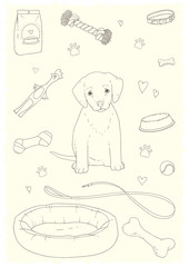 Hand drawn doodle dog and puppy stuff and supply .Vecor illustration