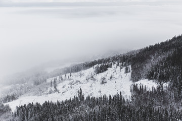 Snowy foggy mountain
