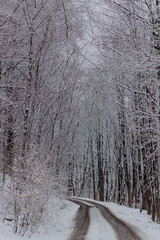 Snowy road