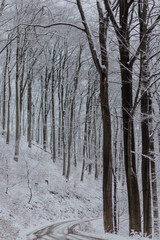 Obraz premium Snowy road