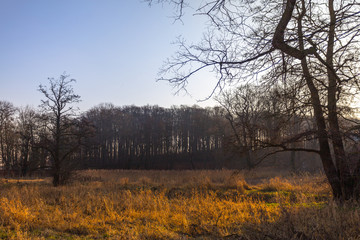 Obraz premium Münsterpark in Bad Doberan