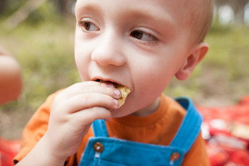 Eating baby nature picnic concept. Delicious food at the fresh air.