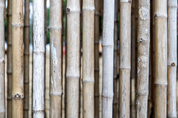 a grid of bamboo holes.