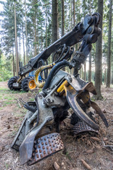 Fototapeta na wymiar Harvester in the wood and in the summer sun. Detail of the hydraulic crane arm and grapple on the logging machine.