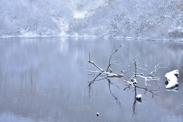 雪に覆われた大雪高原の風景