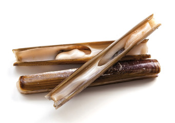 Razor shell seafood