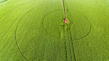 Aerial view of crop circles