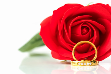 Close up Red roses and gold rings on white