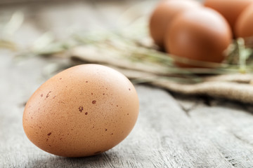chicken egg closeup