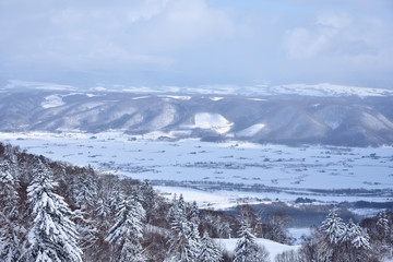 冬の北海道・富良野の雪景色